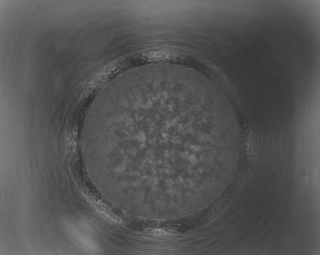 X0000085840737200703161350