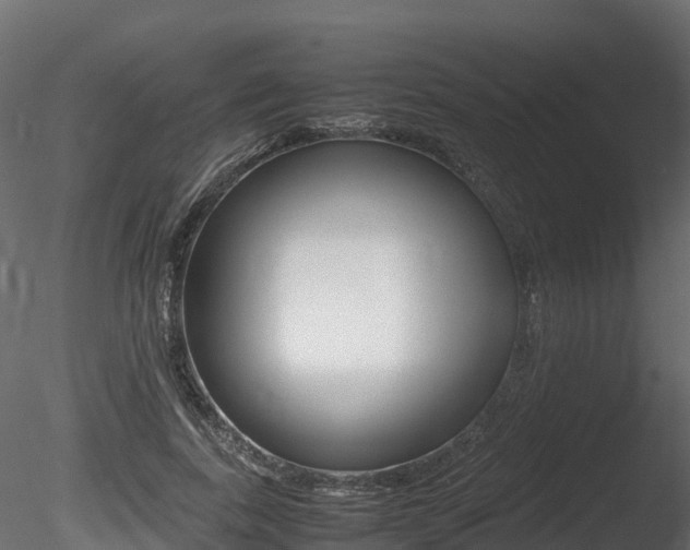 X0000085840739200703161350