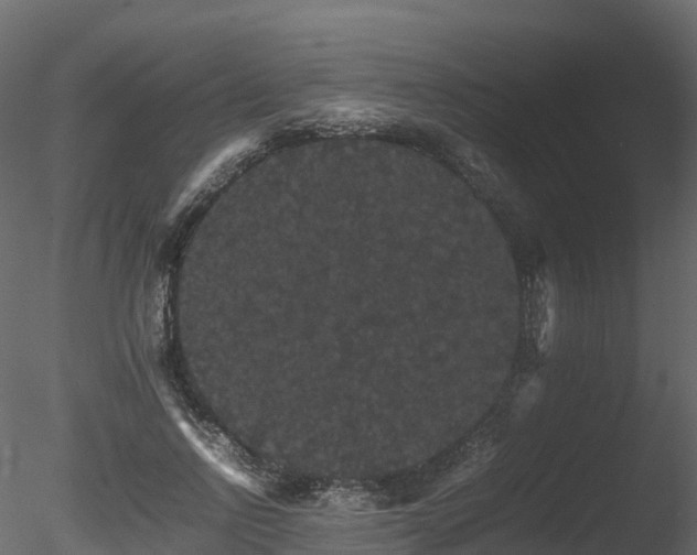 X0000085840742200703161350