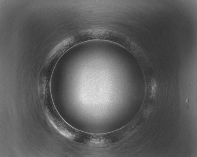 X0000085840744200703161350