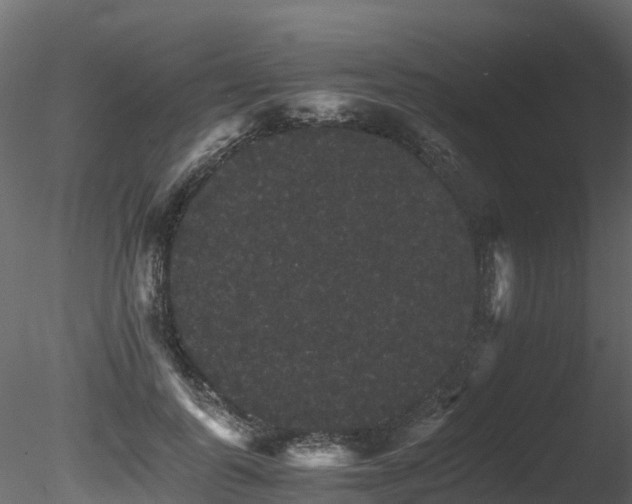 X0000085840747200703161350
