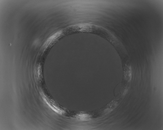 X0000085840748200703161350