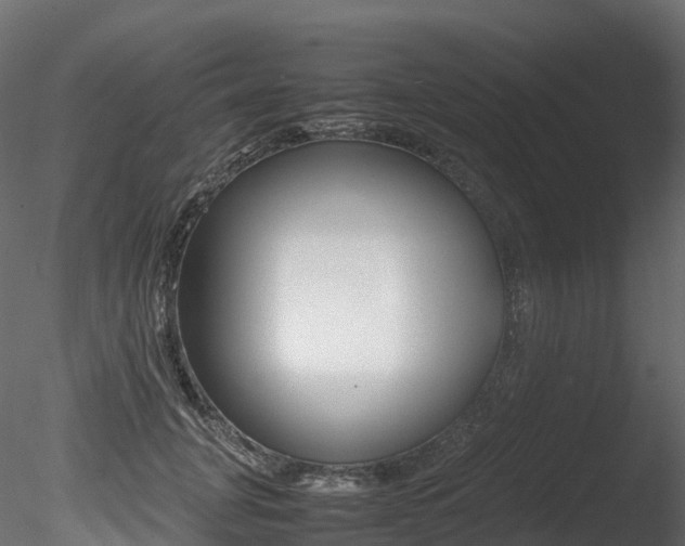 X0000085840751200703161350