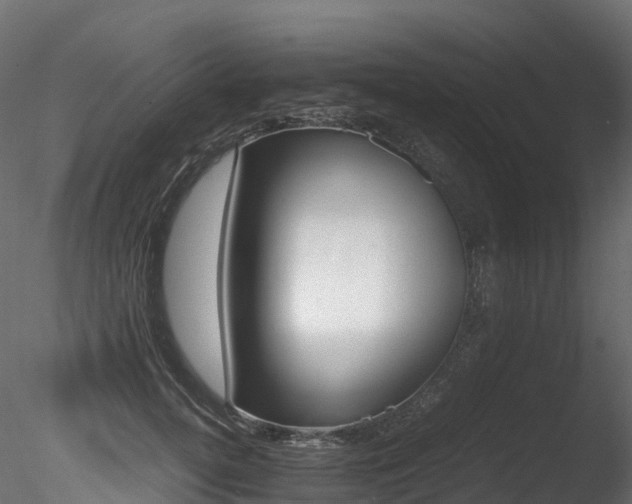 X0000085840752200703161350