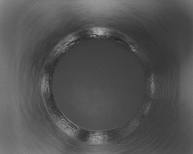 X0000085840754200703161350