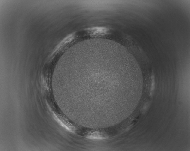 X0000085840755200703161350