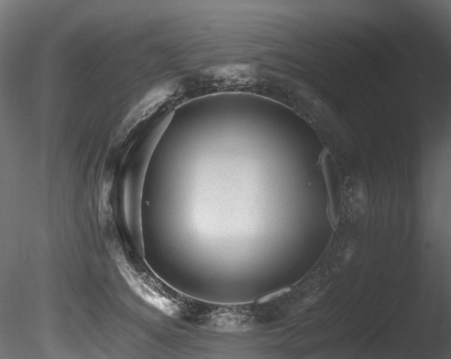 X0000085840756200703161350