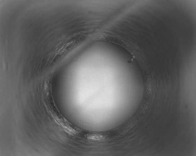 X0000085840759200703161350