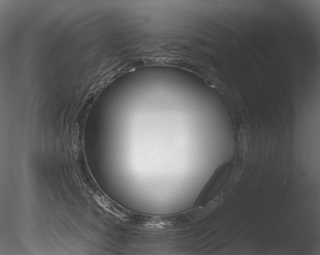 X0000085840760200703161350
