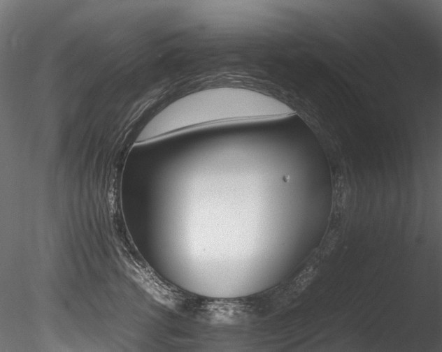 X0000085840762200703161350