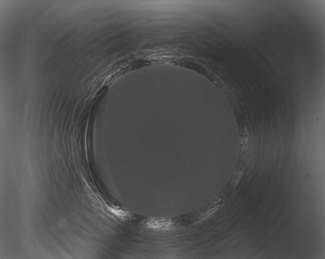 X0000085840767200703161351