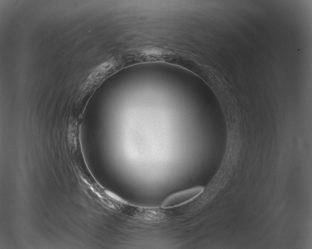 X0000085840768200703161351