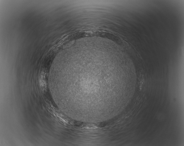 X0000085840770200703161350