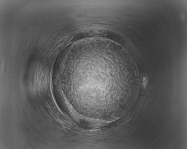X0000085840771200703161350