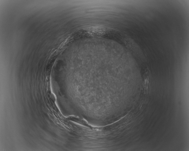 X0000085840772200703161350