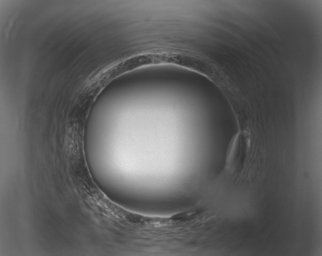 X0000085840773200703161350
