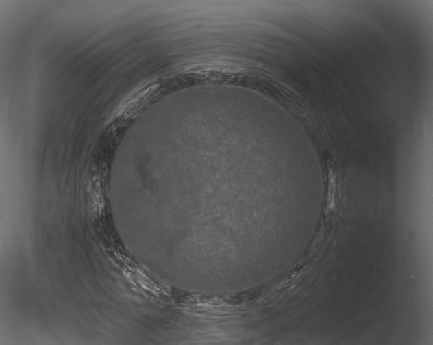 X0000085840774200703161350