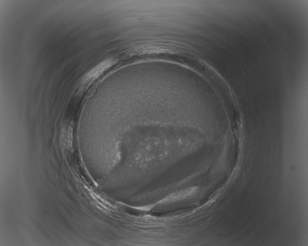X0000085840777200703161350