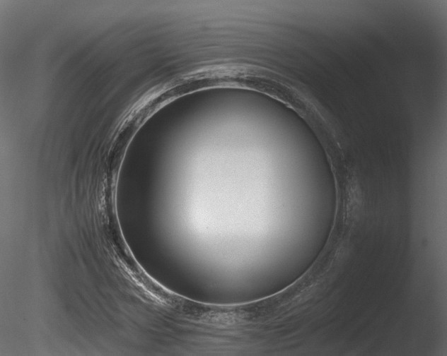 X0000085840778200703161350