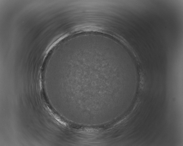 X0000085840782200703161349
