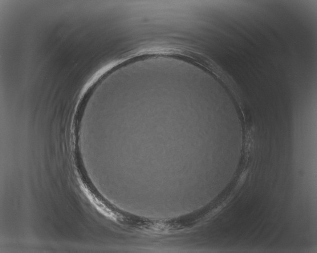 X0000085840787200703161349