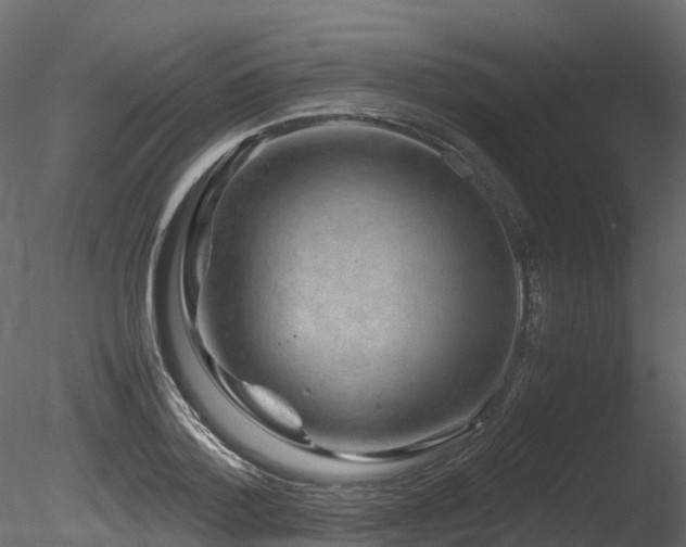 X0000085840788200703161349