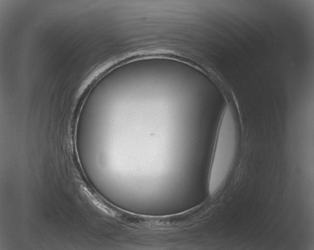 X0000085840789200703161349