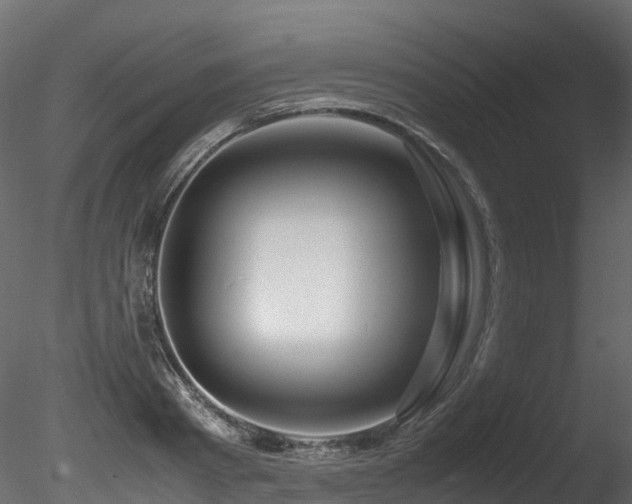X0000085840793200703161349