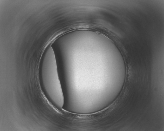 X0000085840794200703161349
