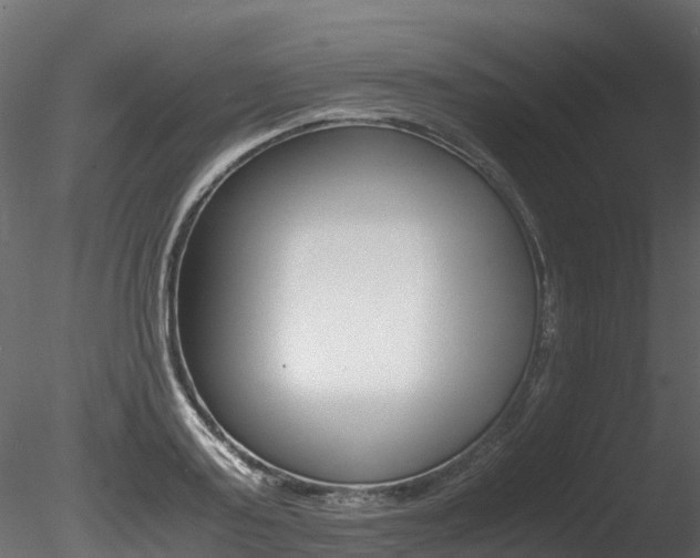X0000085840795200703161349