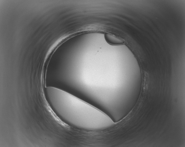 X0000085840796200703161349