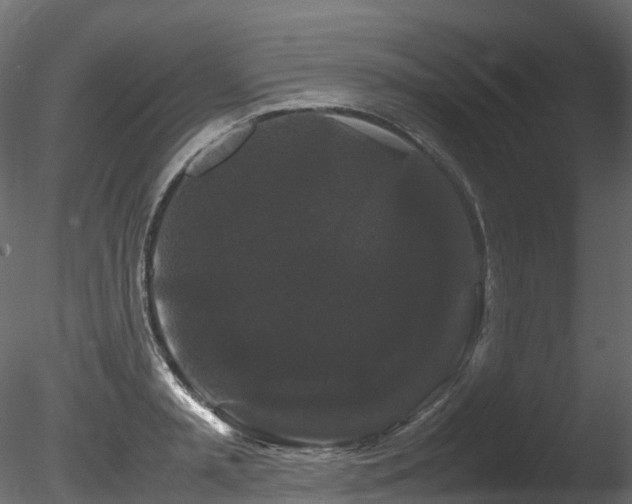 X0000085840797200703161349