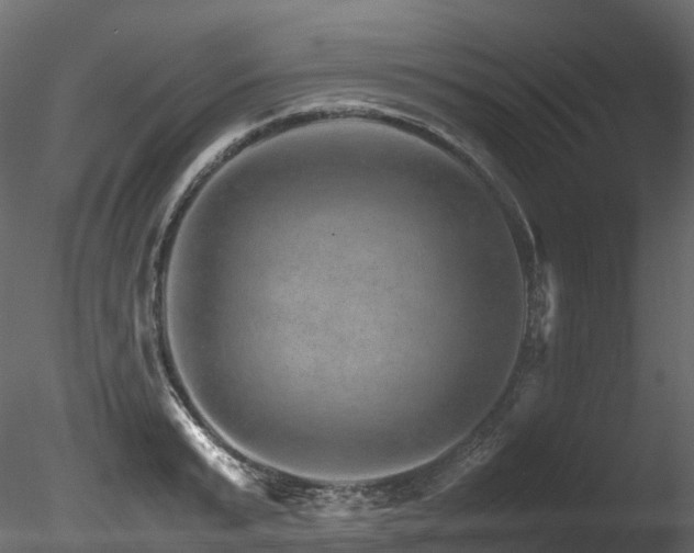 X0000085840799200703161349