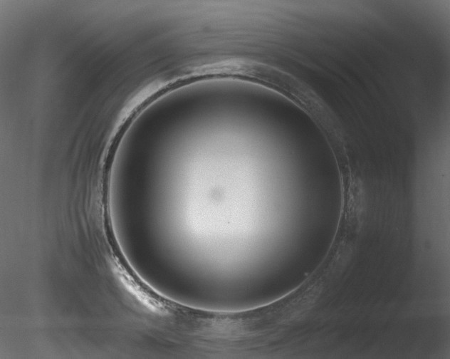 X0000085840800200703161349