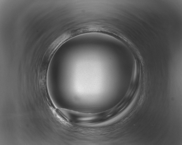 X0000085840801200703161349