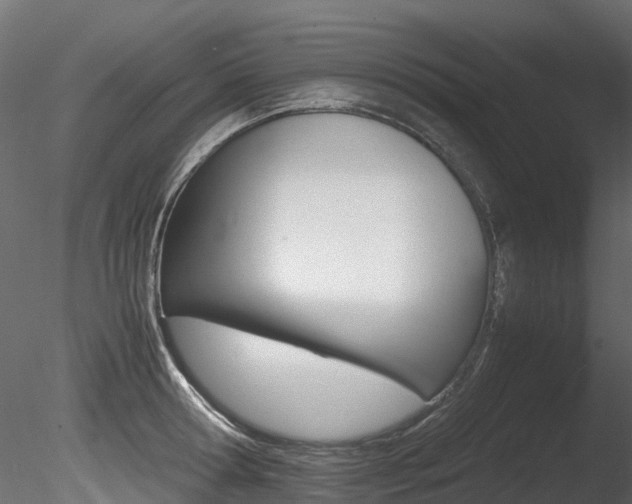 X0000085840802200703161349
