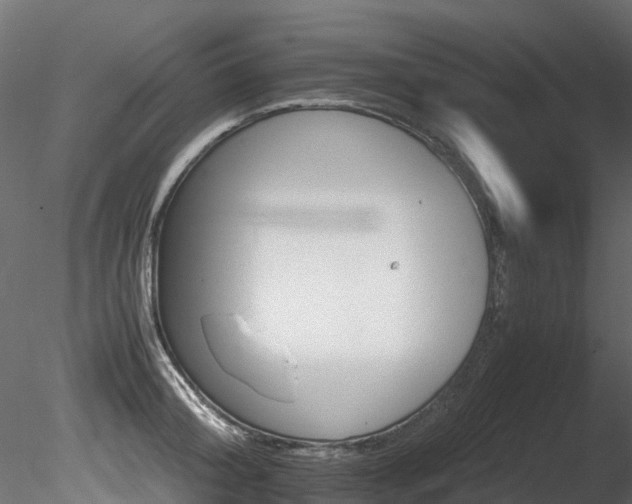 X0000085840804200703161349