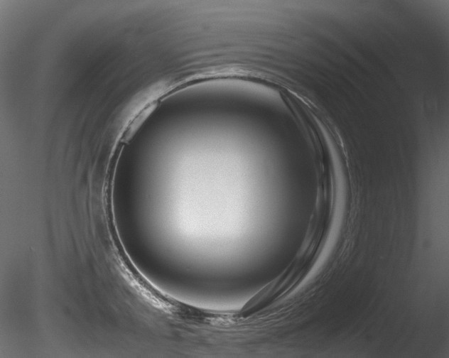 X0000085840805200703161349