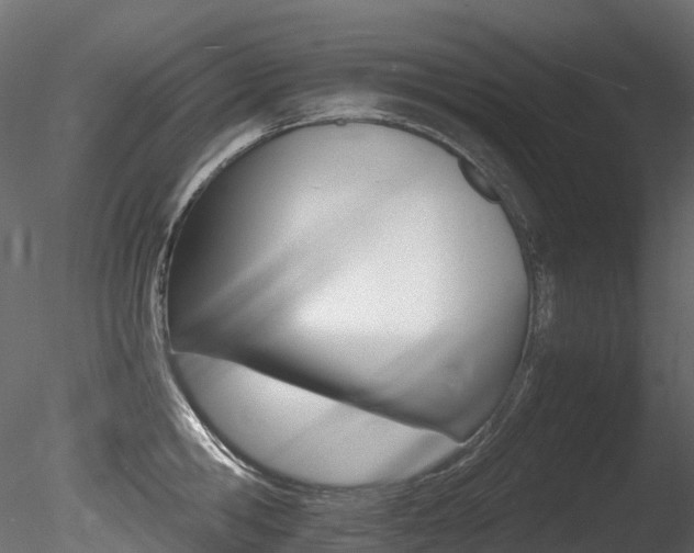 X0000085840806200703161349
