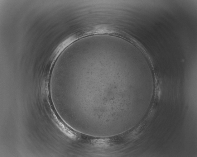 X0000085840810200703161349
