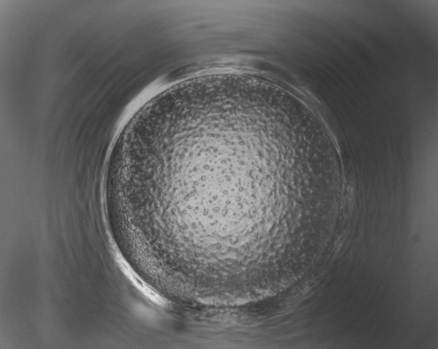 X0000085840811200703161349