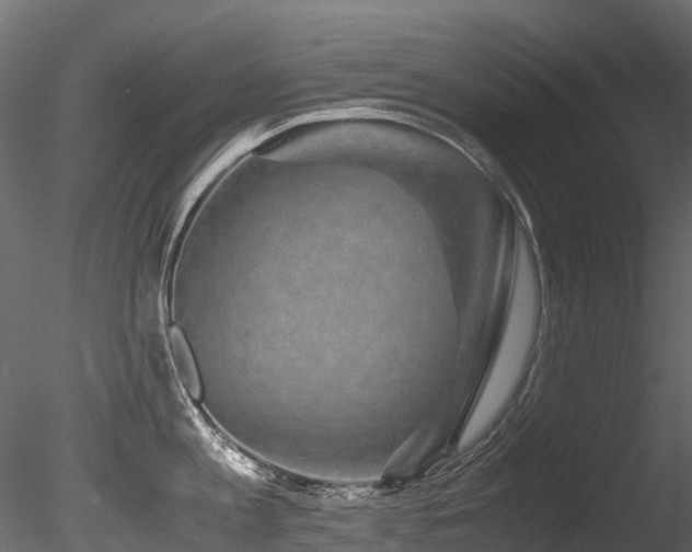X0000085840813200703161349