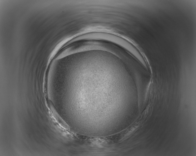 X0000085840815200703161349