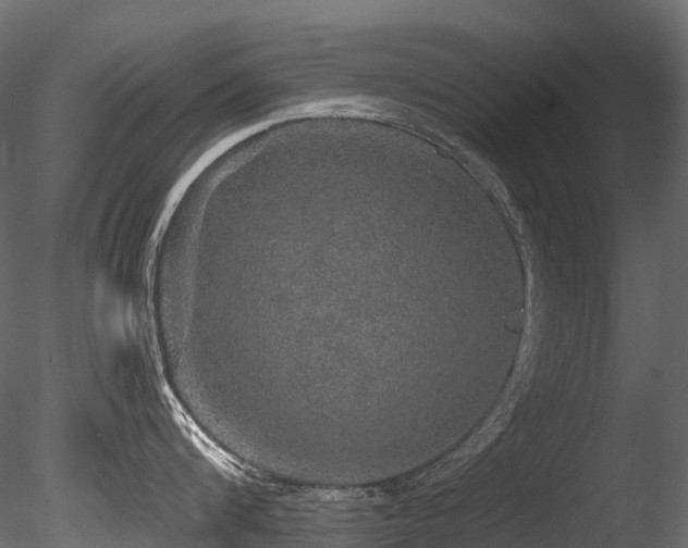 X0000085840816200703161349