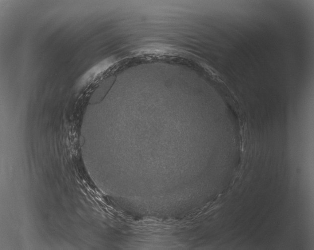 X0000085840822200703161348