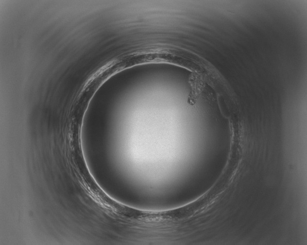 X0000085840826200703161348