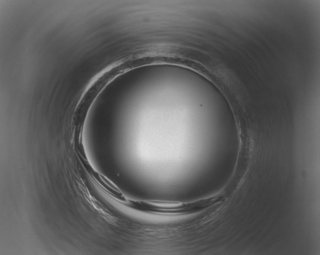X0000085840830200703161348