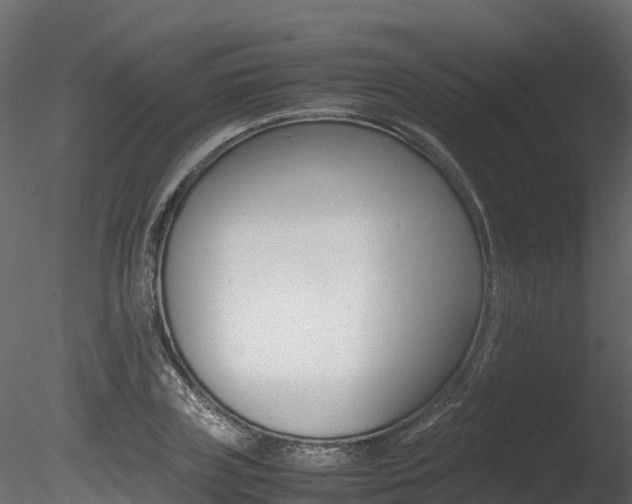 X0000085840835200703161348