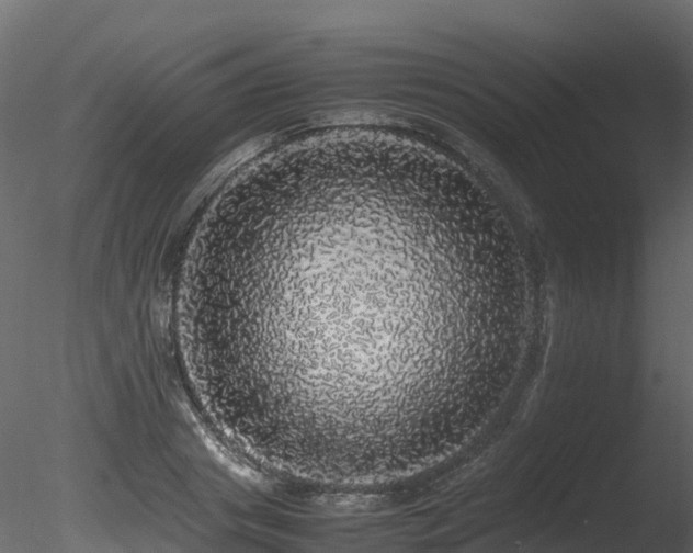 X0000085840841200703161348