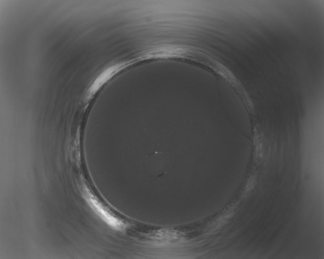 X0000085840842200703161349